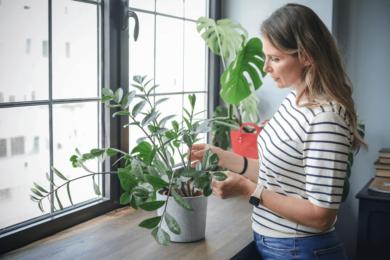 Woman watering plant