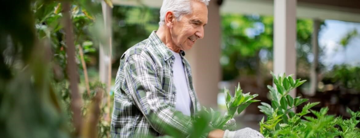 Person tending to garden